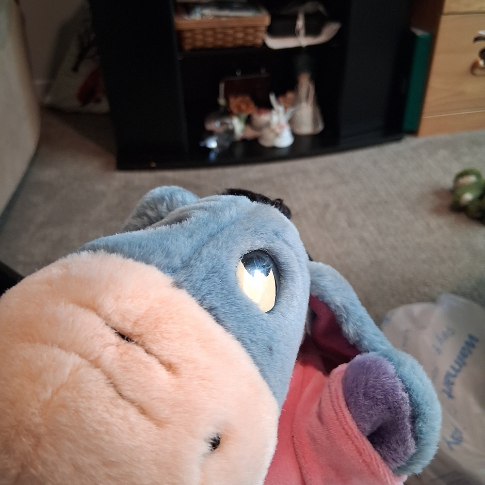 Disney Eeyore Stuffed Animal - Blue and Pink